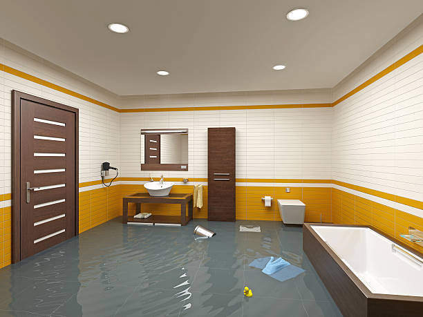  , USA Water damage restoration Pros